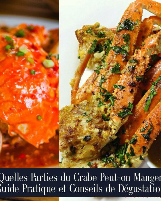 Quelles Parties du Crabe Peut-on Manger Guide Pratique et Conseils de Dégustation