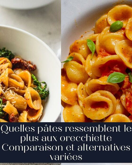 Quelles pâtes ressemblent le plus aux orecchiette Comparaison et alternatives variées
