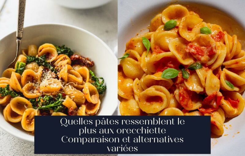 Quelles pâtes ressemblent le plus aux orecchiette Comparaison et alternatives variées