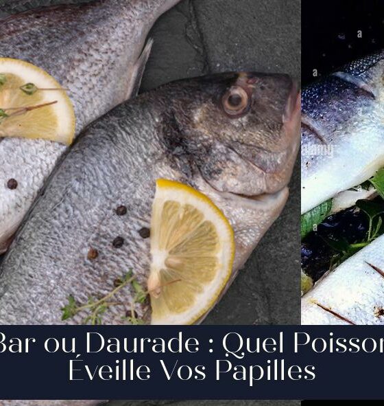 Bar ou Daurade : Quel Poisson Éveille Vos Papilles