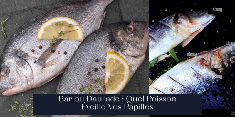 Bar ou Daurade : Quel Poisson Éveille Vos Papilles