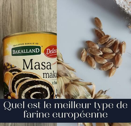 Quel est le meilleur type de farine européenne