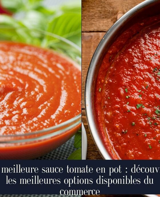 La meilleure sauce tomate en pot : découvrez les meilleures options disponibles du commerce