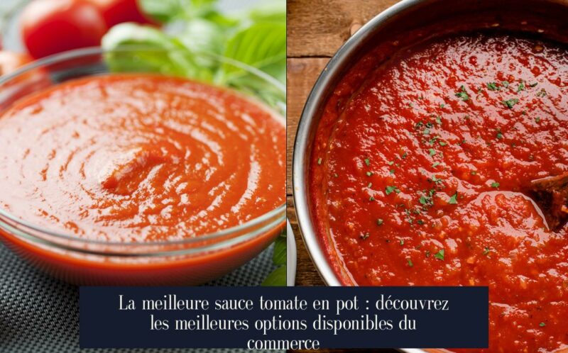 La meilleure sauce tomate en pot : découvrez les meilleures options disponibles du commerce