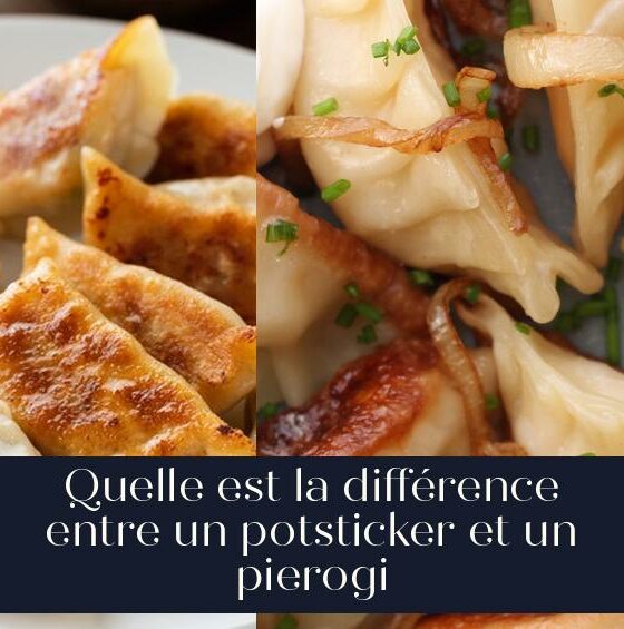 Quelle est la différence entre un potsticker et un pierogi