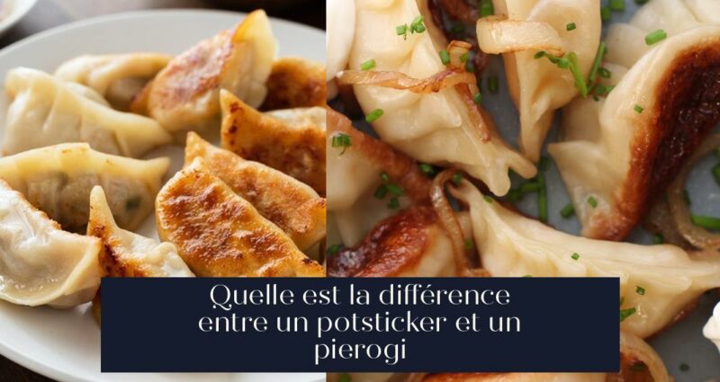 Quelle est la différence entre un potsticker et un pierogi