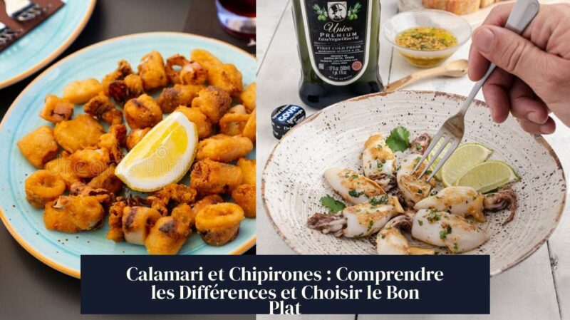 Calamari et Chipirones : Comprendre les Différences et Choisir le Bon Plat