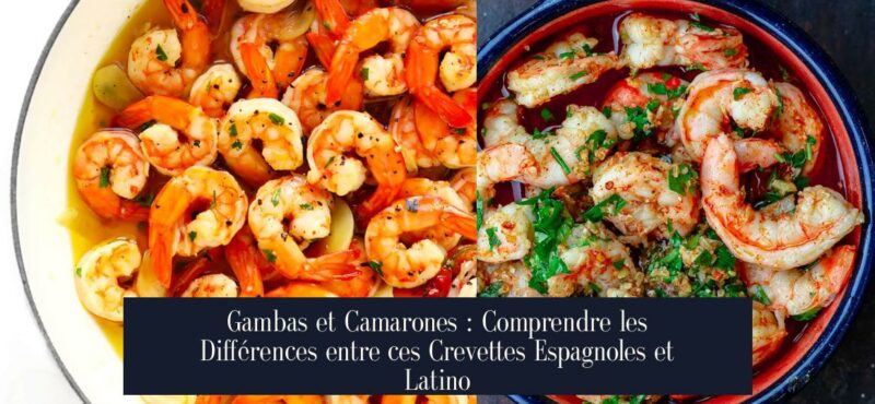 Gambas et Camarones : Comprendre les Différences entre ces Crevettes Espagnoles et Latino