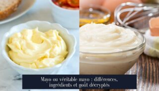 Mayo ou véritable mayo : différences, ingrédients et goût décryptés