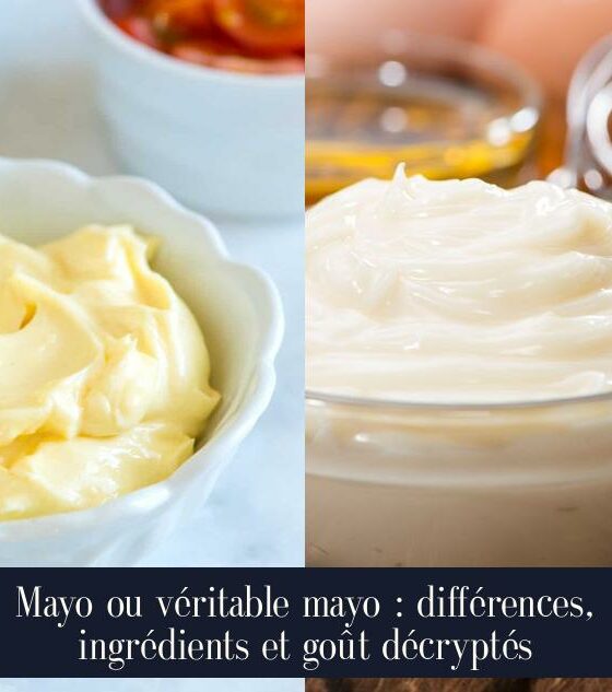 Mayo ou véritable mayo : différences, ingrédients et goût décryptés
