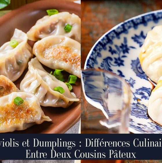 Raviolis et Dumplings : Différences Culinaires Entre Deux Cousins Pâteux
