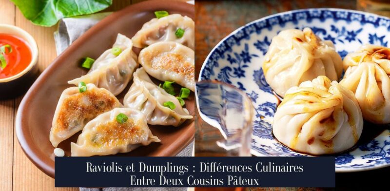 Raviolis et Dumplings : Différences Culinaires Entre Deux Cousins Pâteux