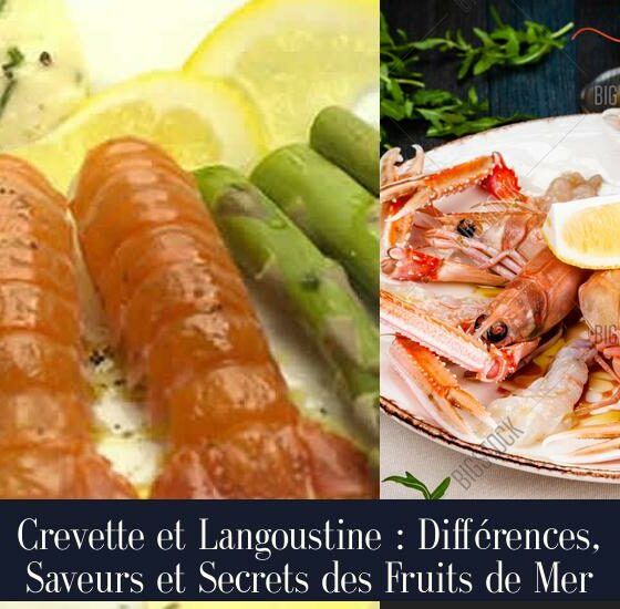 Crevette et Langoustine : Différences, Saveurs et Secrets des Fruits de Mer
