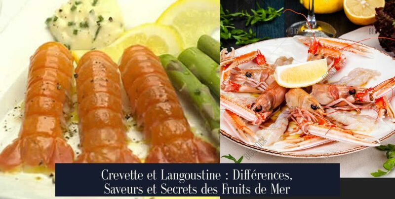 Crevette et Langoustine : Différences, Saveurs et Secrets des Fruits de Mer