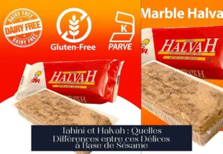 Tahini et Halvah : Quelles Différences entre ces Délices à Base de Sésame