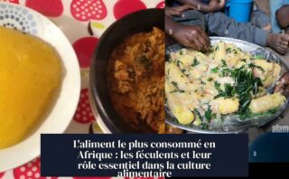 L'aliment le plus consommé en Afrique : les féculents et leur rôle essentiel dans la culture alimentaire