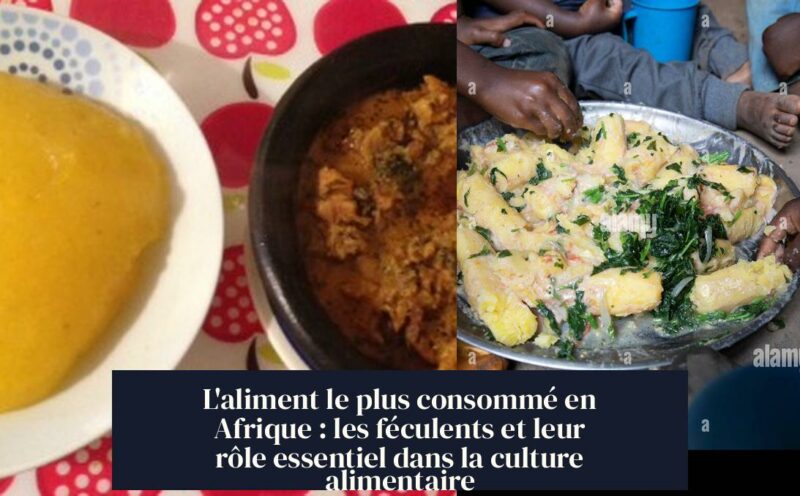 L'aliment le plus consommé en Afrique : les féculents et leur rôle essentiel dans la culture alimentaire