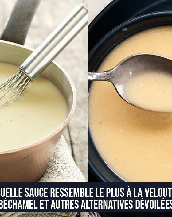 Quelle sauce ressemble le plus à la velouté Béchamel et autres alternatives dévoilées