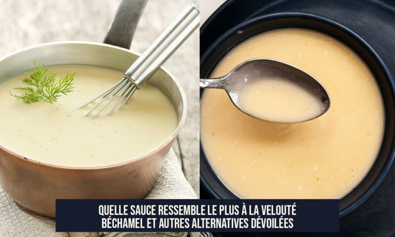 Quelle sauce ressemble le plus à la velouté Béchamel et autres alternatives dévoilées