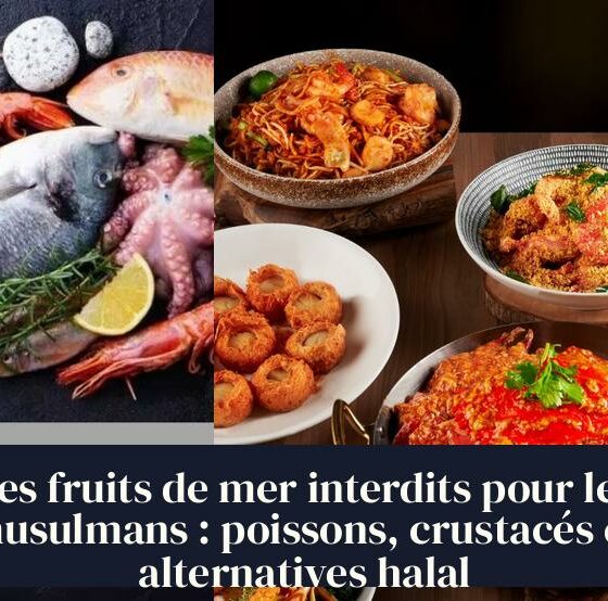 Les fruits de mer interdits pour les musulmans : poissons, crustacés et alternatives halal