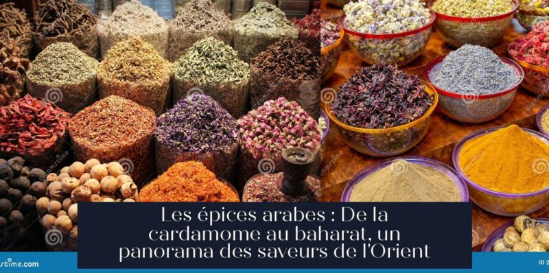 Les épices arabes : De la cardamome au baharat, un panorama des saveurs de l'Orient