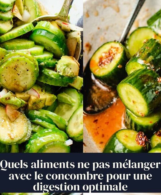 Quels aliments ne pas mélanger avec le concombre pour une digestion optimale