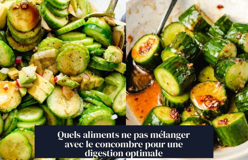 Quels aliments ne pas mélanger avec le concombre pour une digestion optimale