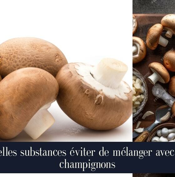 Quelles substances éviter de mélanger avec les champignons