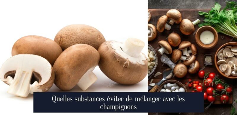 Quelles substances éviter de mélanger avec les champignons
