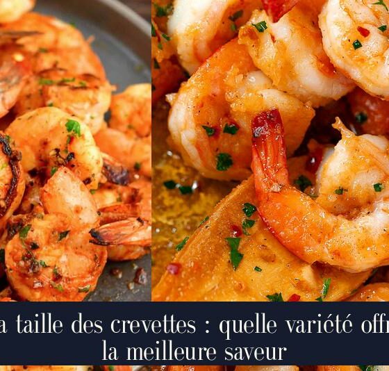 La taille des crevettes : quelle variété offre la meilleure saveur