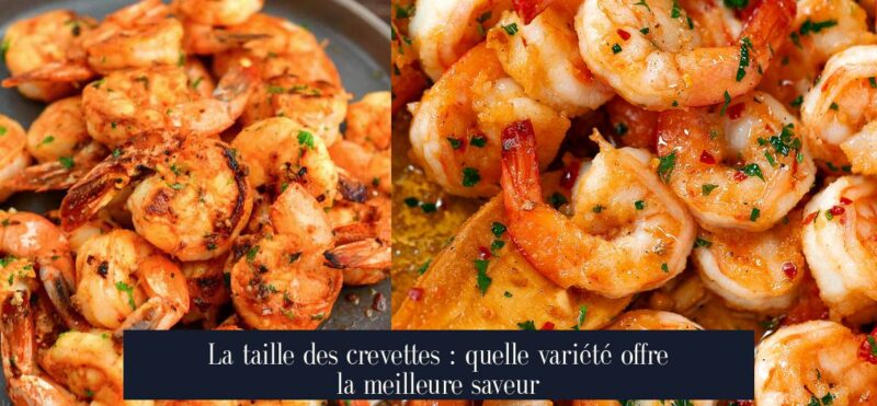La taille des crevettes : quelle variété offre la meilleure saveur