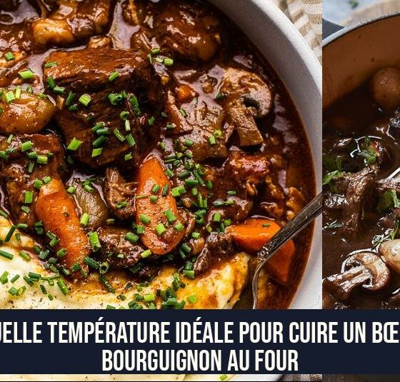Quelle température idéale pour cuire un bœuf bourguignon au four