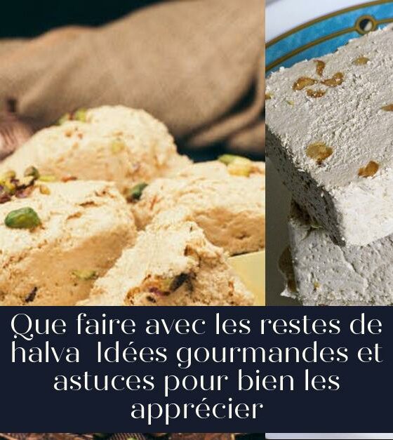 Que faire avec les restes de halva Idées gourmandes et astuces pour bien les apprécier