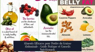 Aliments Efficaces pour Perdre du Graisse Abdominale : Guide Pratique et Conseils Nutritionnels