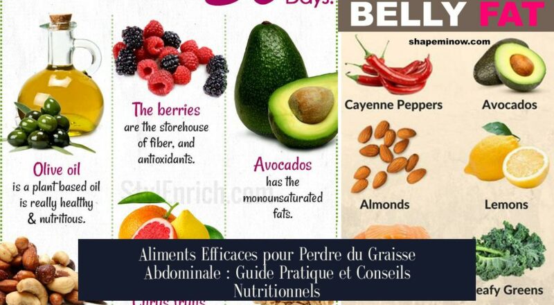 Aliments Efficaces pour Perdre du Graisse Abdominale : Guide Pratique et Conseils Nutritionnels