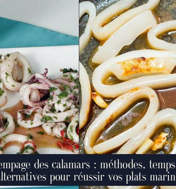 Trempage des calamars : méthodes, temps et alternatives pour réussir vos plats marins