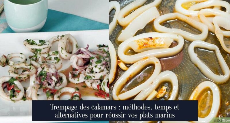 Trempage des calamars : méthodes, temps et alternatives pour réussir vos plats marins