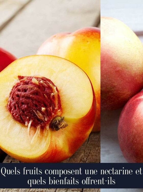 Quels fruits composent une nectarine et quels bienfaits offrent-ils