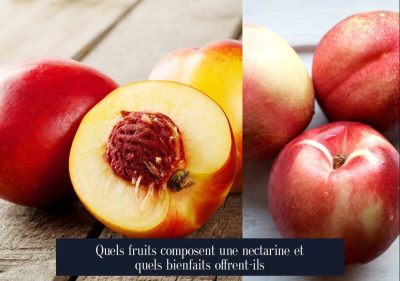 Quels fruits composent une nectarine et quels bienfaits offrent-ils