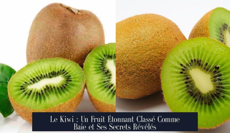 Le Kiwi : Un Fruit Étonnant Classé Comme Baie et Ses Secrets Révélés