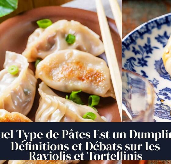 Quel Type de Pâtes Est un Dumpling Définitions et Débats sur les Raviolis et Tortellinis