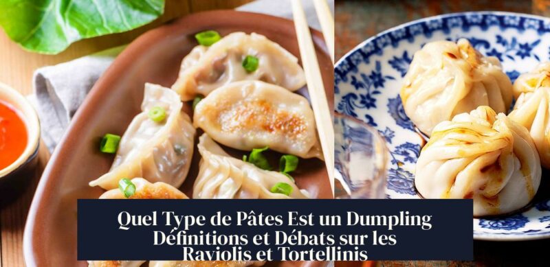 Quel Type de Pâtes Est un Dumpling Définitions et Débats sur les Raviolis et Tortellinis