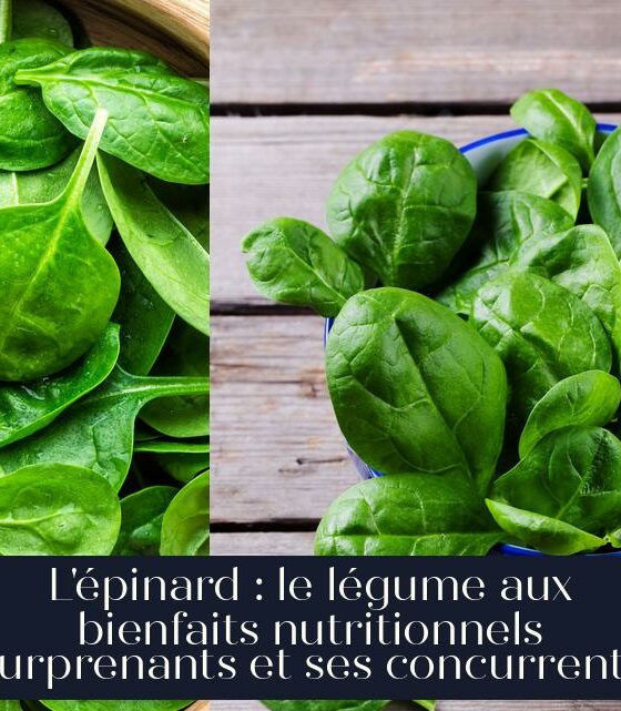 L'épinard : le légume aux bienfaits nutritionnels surprenants et ses concurrents