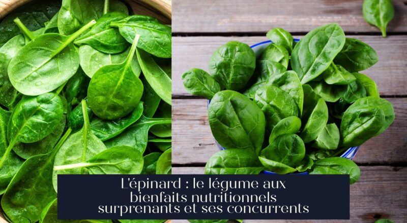 L'épinard : le légume aux bienfaits nutritionnels surprenants et ses concurrents