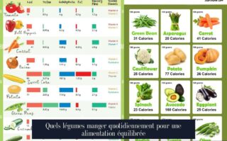 Quels légumes manger quotidiennement pour une alimentation équilibrée