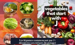 Les légumes commençant par J : découvrez ces trésors du potager