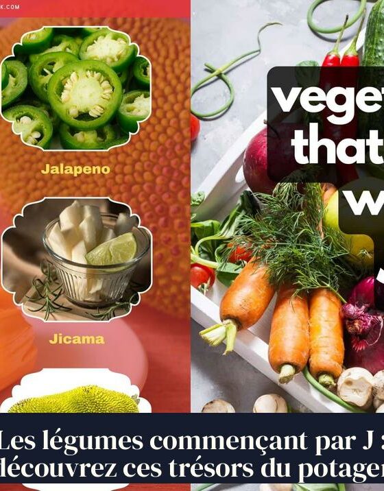 Les légumes commençant par J : découvrez ces trésors du potager