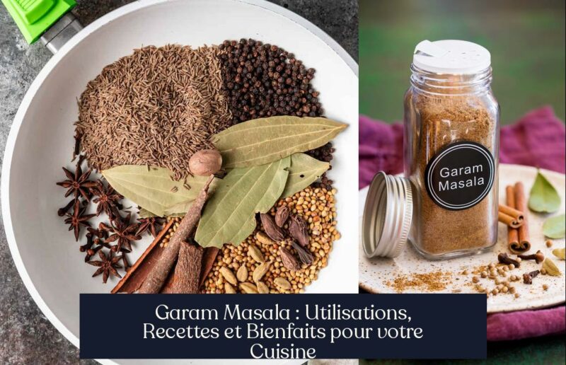 Garam Masala : Utilisations, Recettes et Bienfaits pour votre Cuisine