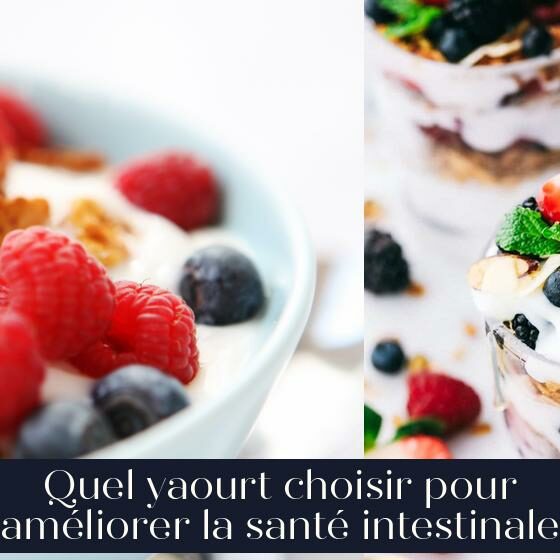 Quel yaourt choisir pour améliorer la santé intestinale