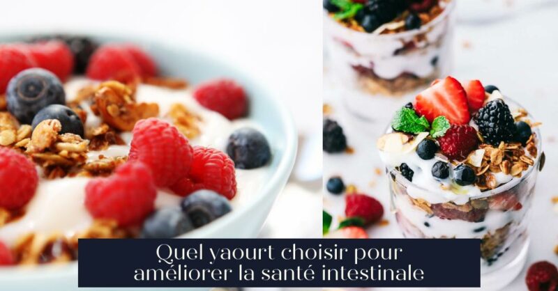Quel yaourt choisir pour améliorer la santé intestinale